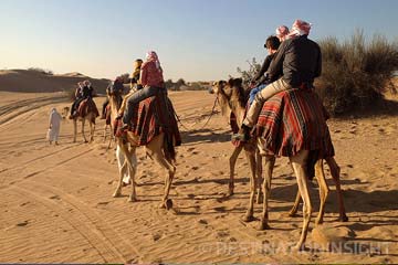 Rajasthan Camel Safari Tour