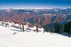 DELHI-CHANDIGARH-SHIMLA-MANALI-DHARAMSALA-AMRITSAR TOUR